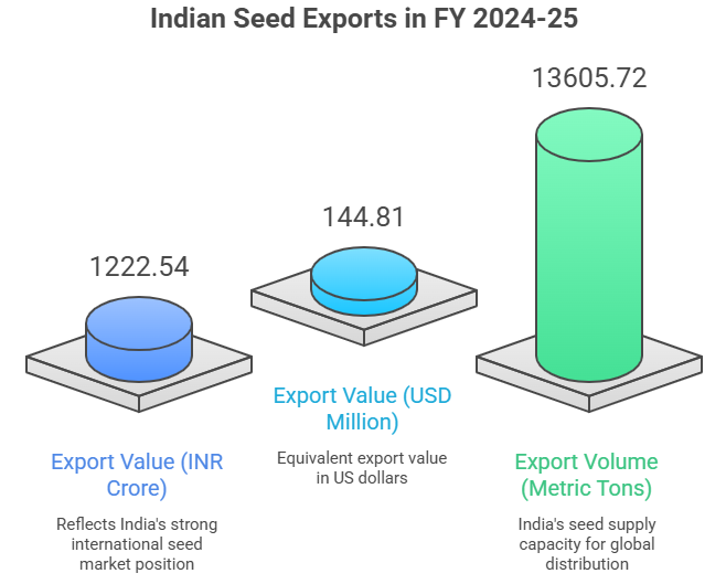 Seeds Export from India