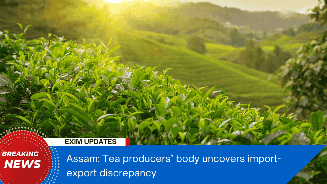 Export Import Data