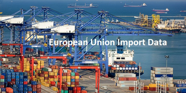 Importance of Reliable and Accurate European Union Import Data