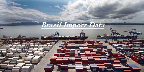 Why Brazil Import Data is Required Each Year