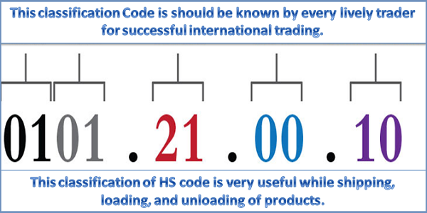 How HS Classification is Required in the International Business of Import Export?