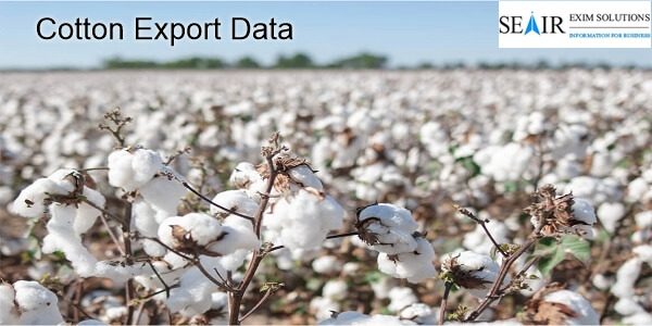 Cotton Export Data