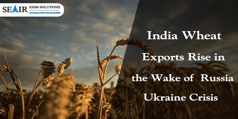 India Wheat Exports Rise in the Wake of Russia-Ukraine Crisis