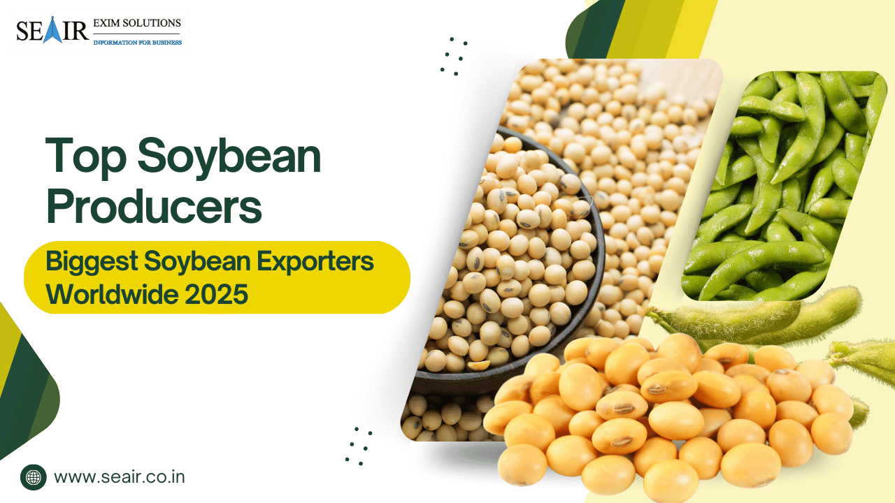 Top Soybean Producers & Biggest Soybean Exporters Worldwide 2025-26