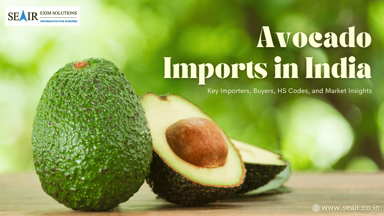 Avocado Imports in India: Key Importers, Buyers, HS Codes, and Market Insights