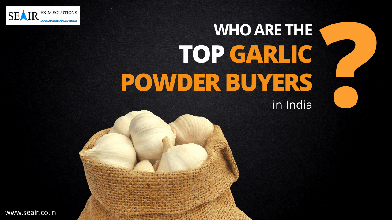 Top Garlic Powder Buyers in India: A Complete Importer Guide